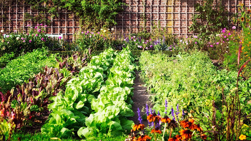 vegetable garden | landscaping responsibilities