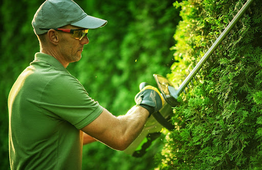 professional gardener | landscaping responsibilities